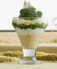 Lav Frosty 305ml 6pcs Eiscreme Dessert Gläser Becher Produktbild-Vorschau 9
