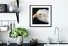 MuchoWow® Gerahmtes Poster Adler - Vogel - Schnabel - Augen Produktbild-Vorschau 4