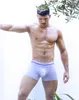 2EROS - Herren Boxer Slip Unterwäsche - Athena Trunk Pastel Produktbild-Vorschau 6