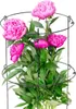 Supporto per fiori e piante KADAX, 60 cm, anello da Anteprima dell’immagine prodotto 2