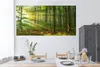 MuchoWow® Wandtattoo Wandsticker Wandaufkleber Sonne - Wald Produktbild-Vorschau 2