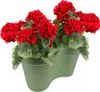 Two green planters filled with red geraniums against a white background. Náhled obrázku produktu
