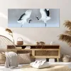 Bild auf Leinwand - Leinwandbild - Einteilig - Kraniche Produktbild-Vorschau 7