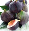 A close-up of several dark purple figs, with one fig cut in half to reveal its red interior, arranged on a white surface with green leaves. Produktbild-Vorschau