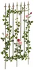 Arches de roses Voir les images du produit 1