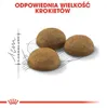 Royal Canin Home Life Indoor Long Hair, Adult, 4 kg Produktbild-Vorschau 4