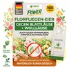 Power Florfliegenlarven gegen Blattläuse und Wollläuse– Produktbild-Vorschau 1