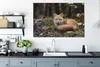 MuchoWow® - Leinwandbilder - Fuchs - Wald - Tier, Wandbild, Produktbild-Vorschau 4