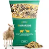 A bag of sheep and goat cereal feed with a sheep standing next to it. Voir les images du produit