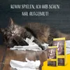 Josera Naturelle Katzentrockenfutter 10 kg Produktbild-Vorschau 11