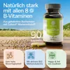 Vitamin B Komplex hochdosiert rein aus Buchweizen I 1000 mg Produktbild-Vorschau 2
