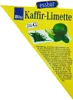 Kaffirská limetka – Citrus hystrix – 1 rostlina – Kaffirská Náhled obrázku produktu 3