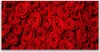 Tulup Leinwand-Bilder 120x60 Wandbild Canvas Kunstdruck Produktbild-Vorschau 1