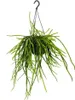 Urban Jungle Elegance Moderno cactus semaforo con grande Anteprima dell’immagine prodotto 1
