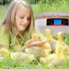 Kruger Meier ProEggora 56 Auto - inkubator z termostatem na Podgląd zdjęcia produktu 12