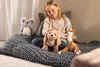 Steiff Nils Koala 30 bleu gris/ blanc 067587 Voir les images du produit 2