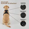 Hundegeschirr, Anti-Zieh-Geschirr, Anti-Zieh Hundegeschirr Produktbild-Vorschau 5