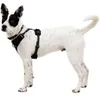 Pettorina per cani Ruffwear Front Range® Flex Harness Anteprima dell’immagine prodotto 5