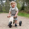 Bandits & Angels Smart Bike Holz-Laufrad 4-in-1 Retro Grün Produktbild-Vorschau 4