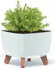 Prosperplast Gracia Square Blumentopf mit abnehmbaren Produktbild-Vorschau 21