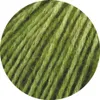 LANA GROSSA ECOPUNO - Farbe: 2 Apfelgrün Produktbild-Vorschau 2
