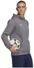 ADIDAS Herren Ent22 Felpa con cappuccio, Tegrfo HB0578 - L Anteprima dell’immagine prodotto 14