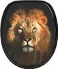 A close-up of a lion's face on a black background, framed by a black border. Náhled obrázku produktu