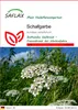 SAFLAX - Schafgarbe - Achillea millefolium - 200 Samen Produktbild-Vorschau 1