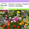 SAFLAX - Očarujúce vône - Mix - 1000 Semená Náhľad obrázku produktu 4