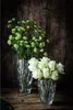 Nachtmann Vase Quartz  0088332-0 Anteprima dell’immagine prodotto 5