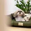 A Shih Tzu dog is lying in a green dog bed with a plant in the background. Produktbild-Vorschau