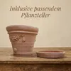 A terracotta pot and saucer are displayed on a wooden table, with text overlay. Produktbild-Vorschau