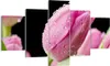 Bild auf Leinwand - Leinwandbild - Tulpe Blumen Tau - Produktbild-Vorschau 1