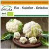 SAFLAX - Garden in the bag - Bio - Kalafior - Śnieżka - 70 Podgląd zdjęcia produktu 10