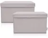 Lifeney 2-Set Aufbewahrungsbox Kinder (37x25x21cm) I Produktbild-Vorschau 1