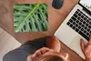 MuchoWow® Mauspad Mousepad Impression eines grünen und Produktbild-Vorschau 4