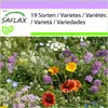 SAFLAX - hmyzím rajom - Mix - 1000 Semená Náhľad obrázku produktu 4
