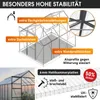 BRAST Gewächshaus Aluminium mit Fundament | 250x190x195cm | Produktbild-Vorschau 4