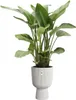 elho® Vibes Cache-pot Fold Cup Blanc de soie Ø 30 cm - Voir les images du produit 3