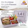 Pausenhero Kinder Brotdose mit Fächern in Grau - Produktbild-Vorschau 2