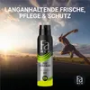 FA Deospray Men Sport Energy Boost 150ml, 12x 150 ml Produktbild-Vorschau 6