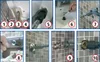 coffret de montage final sanitaire airfit Profi10 pièces Voir les images du produit 5
