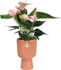 Coupe Vibes Fold Rose Poudré 14cm Pot De Fleurs Design Rose Voir les images du produit 5