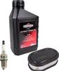 Wartungsset für Rasenmäher BRIGGS&STRATTON Öl 0,6L + Produktbild-Vorschau 2