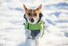 KERBL Hundemantel VANCOUVER, S, 35cm Produktbild-Vorschau 9
