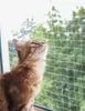 Kerbl Katzen-Schutznetz 6x3 m Transparent Produktbild-Vorschau 7