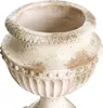 A close-up view of an antique-style planter pot. Produktbild-Vorschau