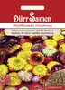 Strohblumen Mischung | Strohblumensamen von Dürr Samen Produktbild-Vorschau 3