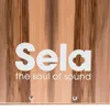 Sela SE 002A CaSela Satin Nut Wood-Cajon Produktbild-Vorschau 7