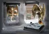 Noble Collection Fantastic Beasts Magiczne stworzenia Podgląd zdjęcia produktu 1